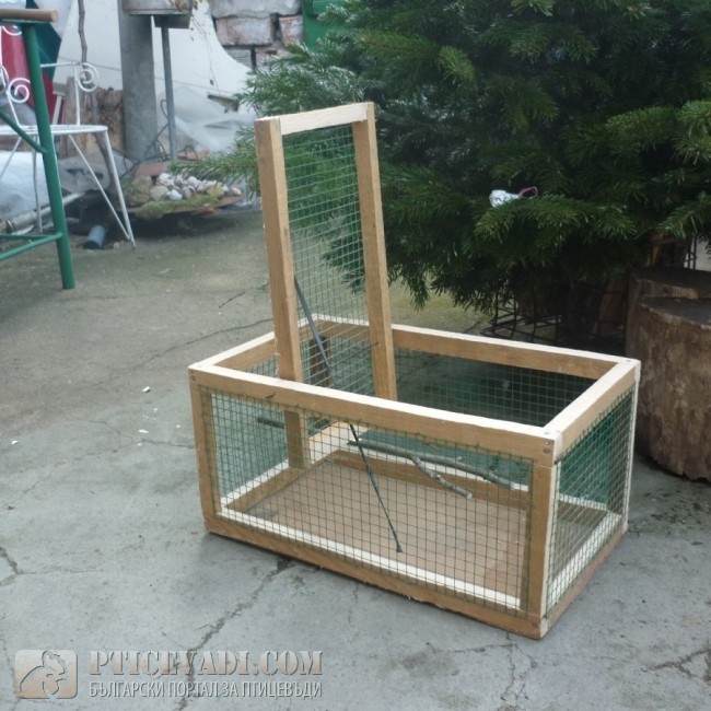 Снимка
