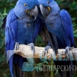 Снимка
