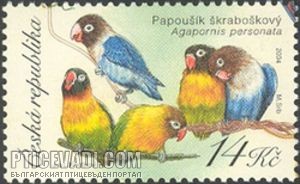 Снимка на гълъб