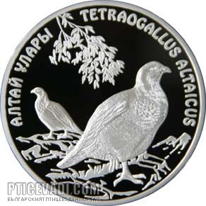 Снимка на гълъб