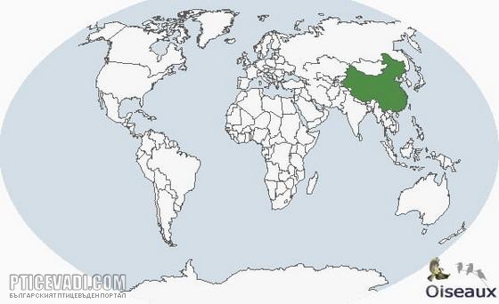 Снимка на птица