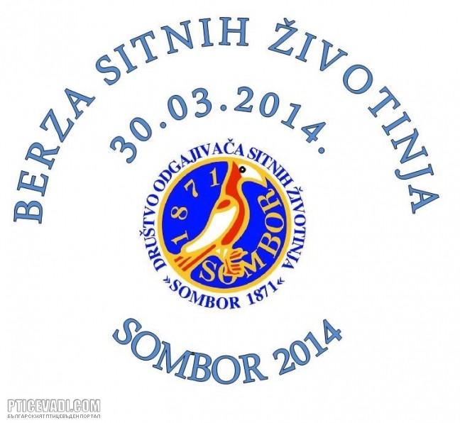 Снимка на гълъб