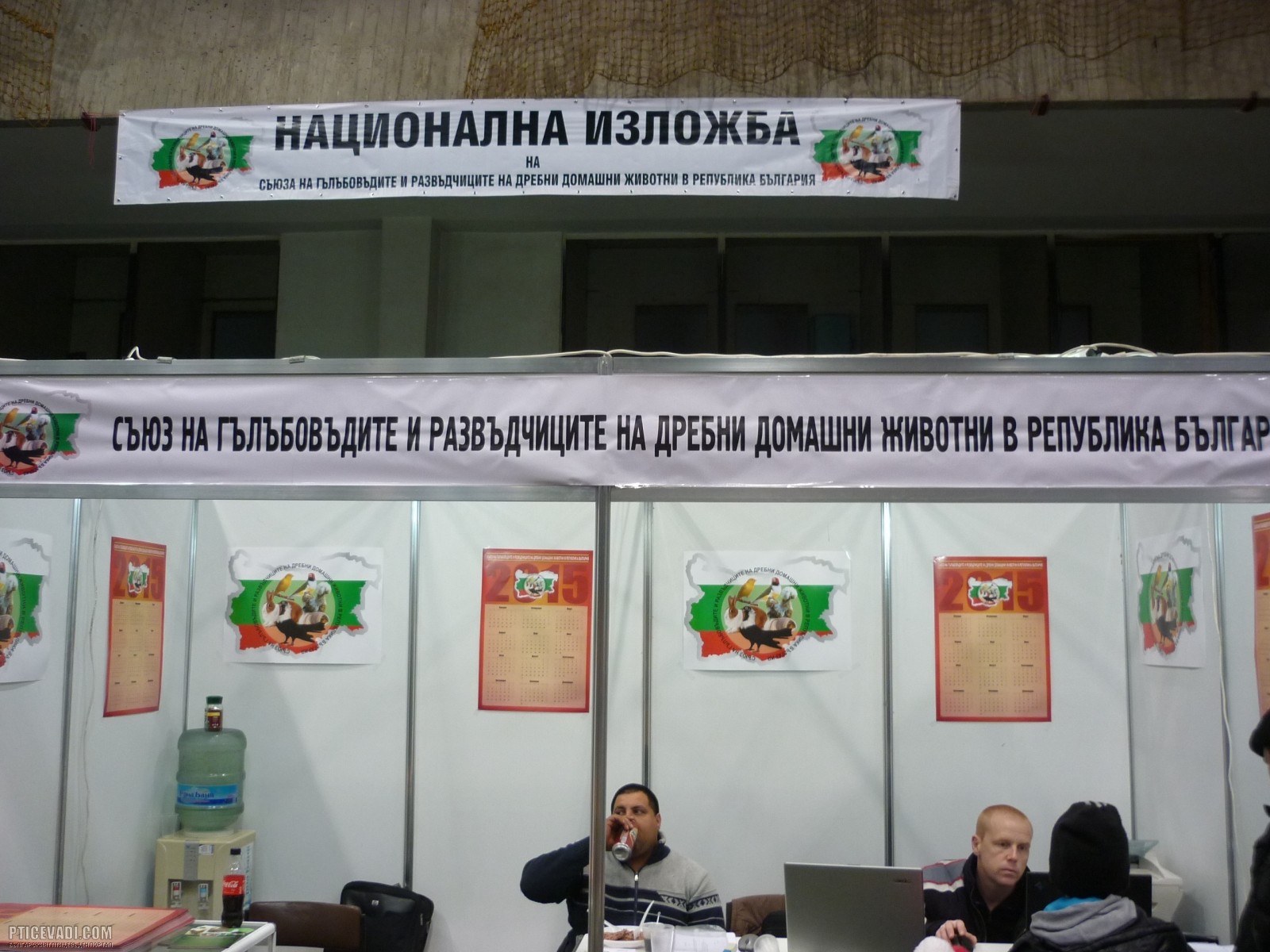Снимка на гълъб