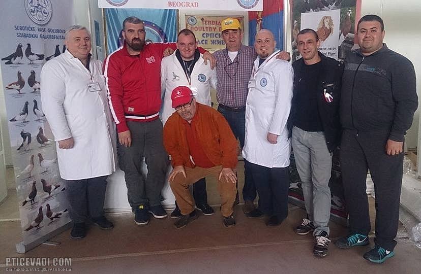 Снимка на гълъб