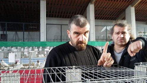 Снимка на гълъб