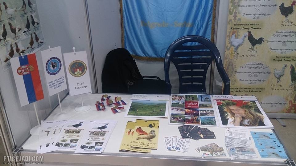 Снимка на гълъб