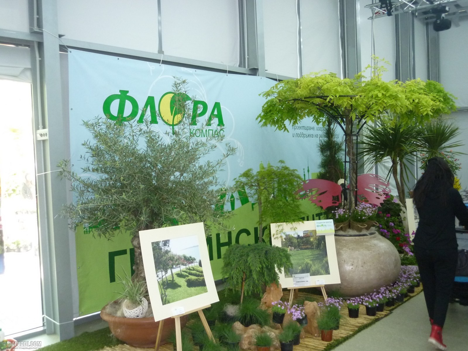 Снимка на гълъб