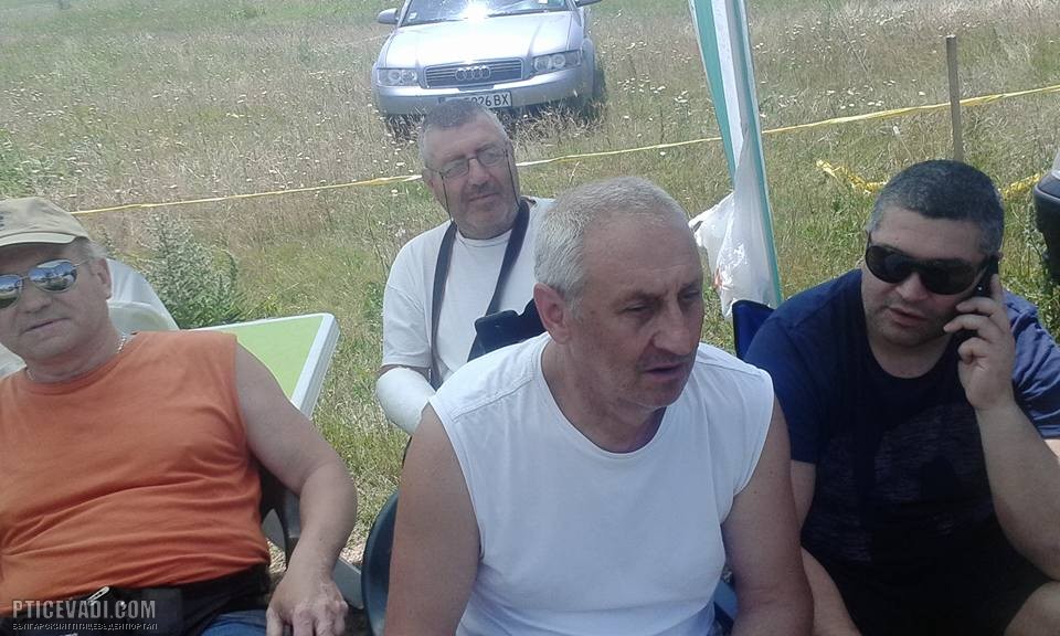 Снимка на гълъб