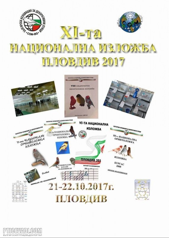 Снимка на гълъб