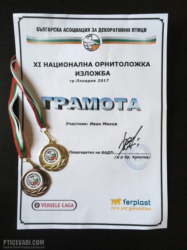 Снимка на гълъб