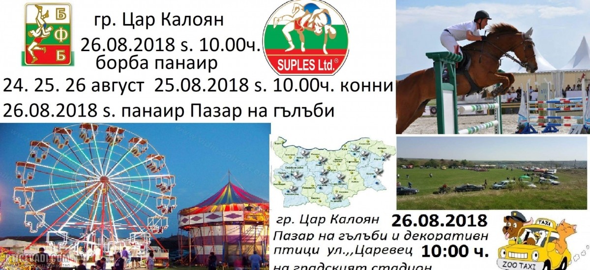 Снимка на гълъб