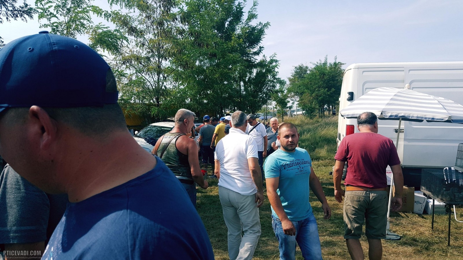Снимка на гълъб
