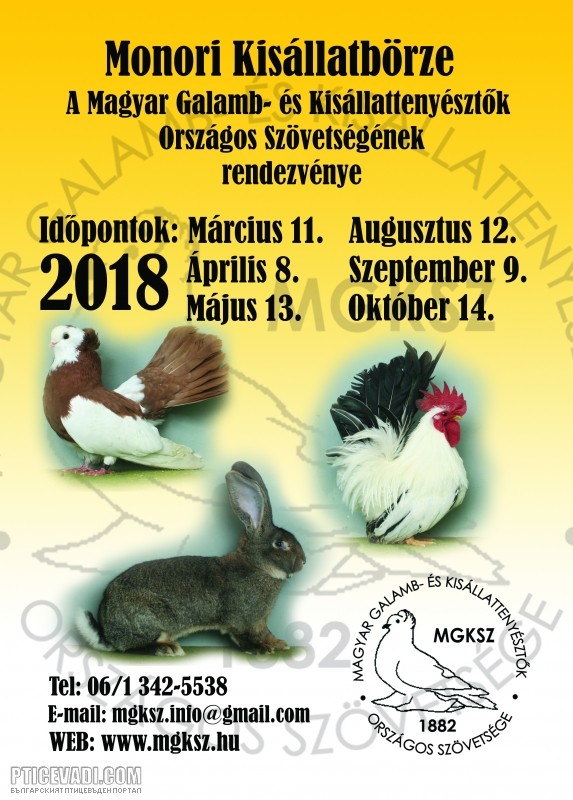 Снимка на гълъб