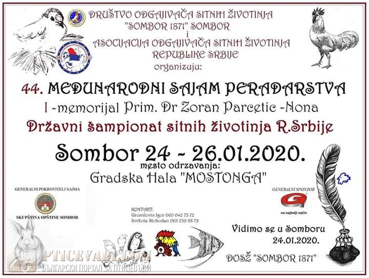 Снимка на гълъб