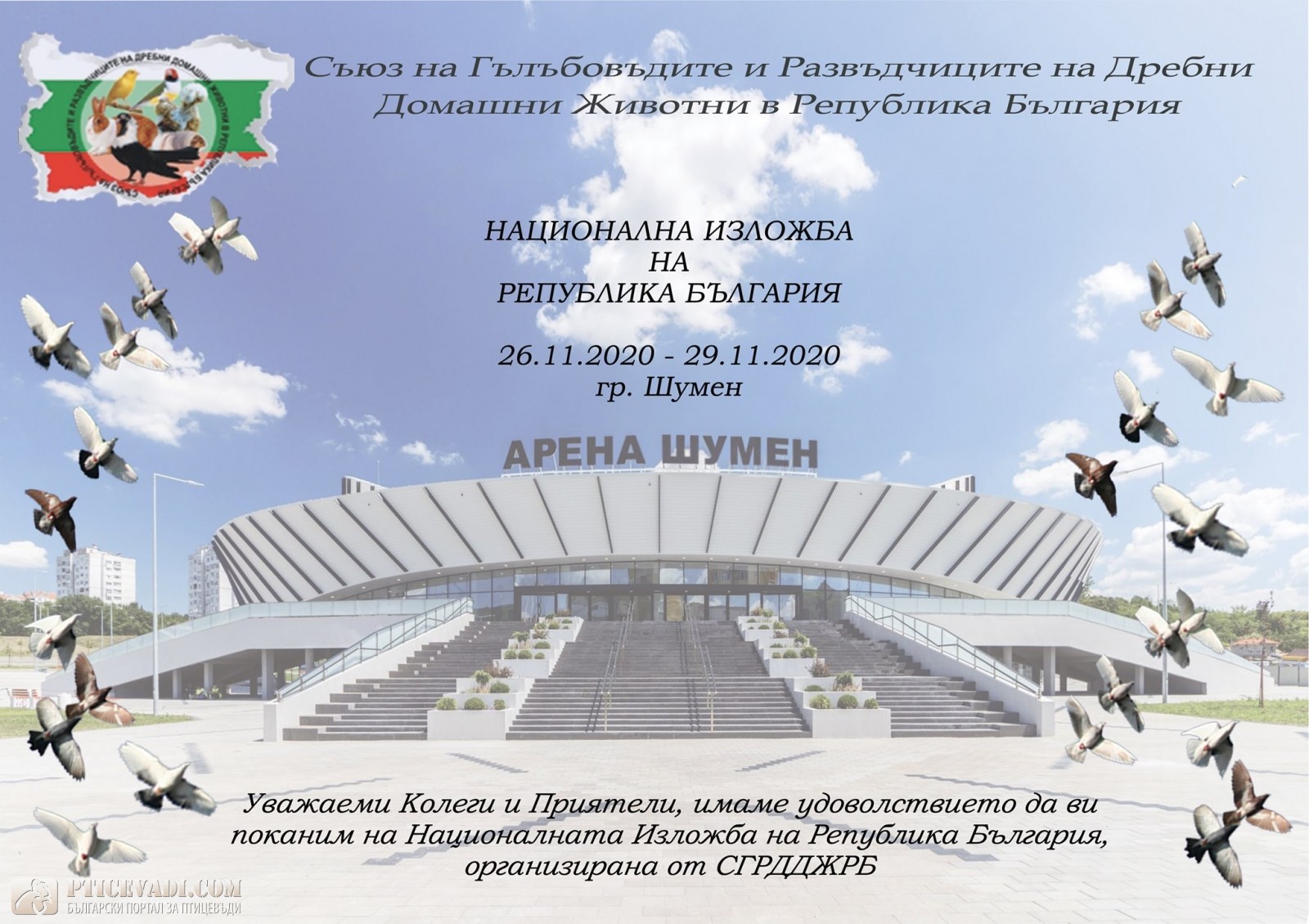 Снимка на гълъб