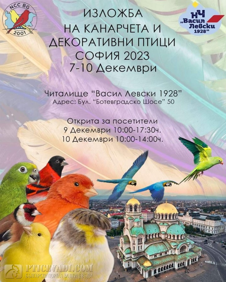 Снимка на гълъб