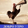 птица
