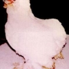 птица