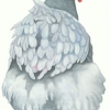 птица