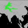 птица