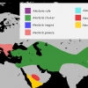 птица