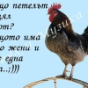 птица