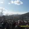 птица