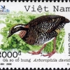 птица