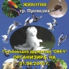 Разгледай галерията