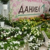 птица