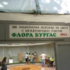 птица
