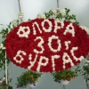 птица