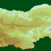 птица