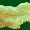 птица