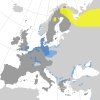 птица