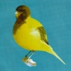 птица