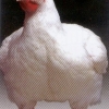 птица