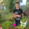 птица