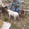 Разгледай галерията