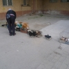Разгледай галерията