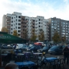 птица