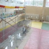 птица