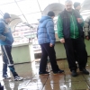птица