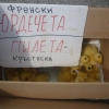 птица
