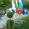птица