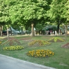 птица