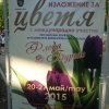 птица