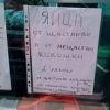 птица