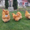 птица