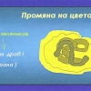 птица